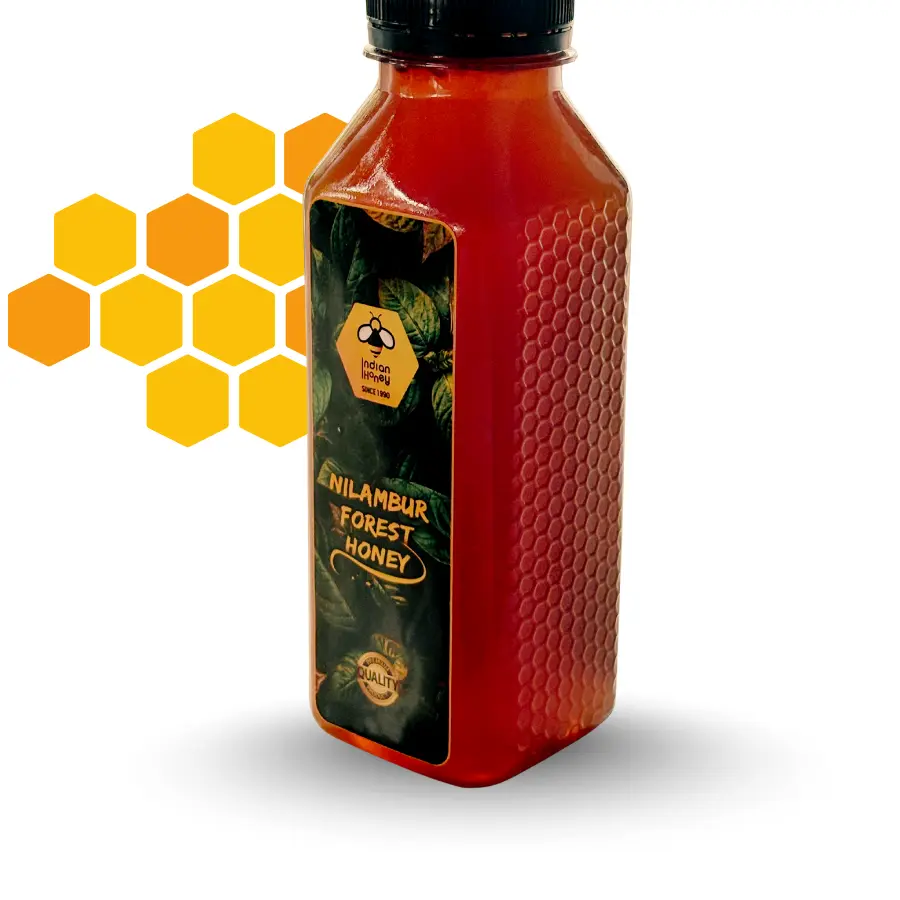 Untitled design(11).webp